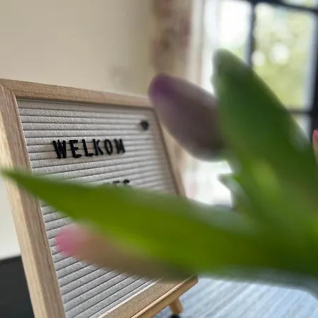 Casa de Férias Sterrenbos Wellness
