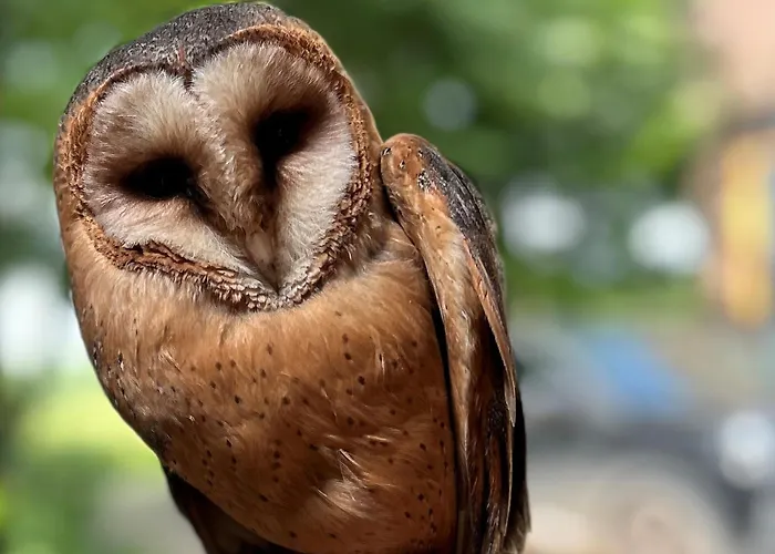 Sterrenbos Wellness * Beers (North Brabant)