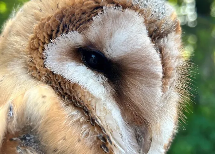 Sterrenbos Wellness Holiday home